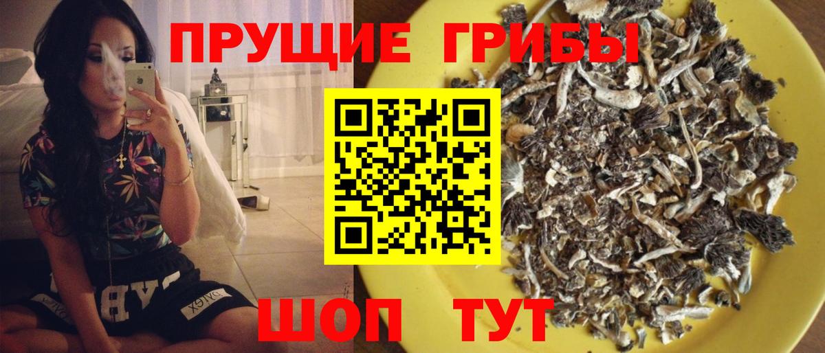 Дзержинск  Галлюциногенные грибы мицелий  купить наркотик  Вход с VPN 
