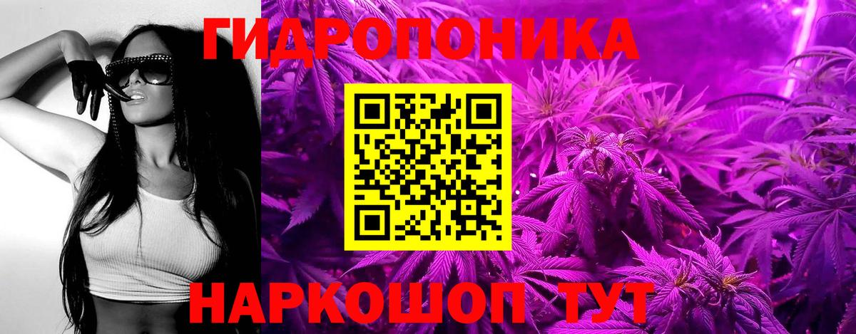 Дзержинск  Конопля индика  Канабис планчик  Вход с VPN 